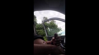 Bear in a Pickup  Risky Solo Fun at the Lake Parking Lot